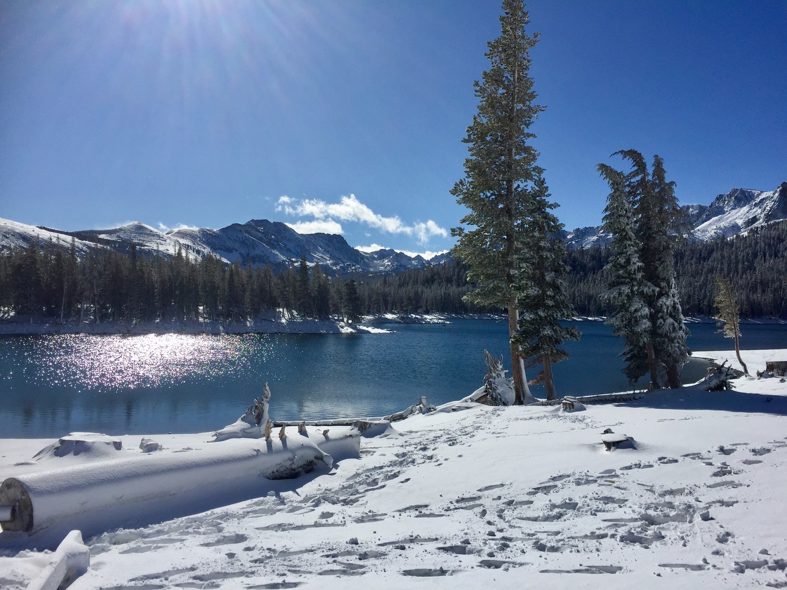 Winter scenery at Horseshoe Lake in Mammoth Lakes